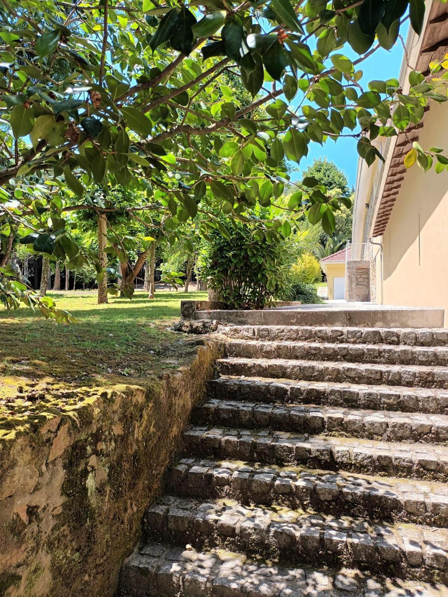 Casas Do Souto Guest House Lousada Exterior photo